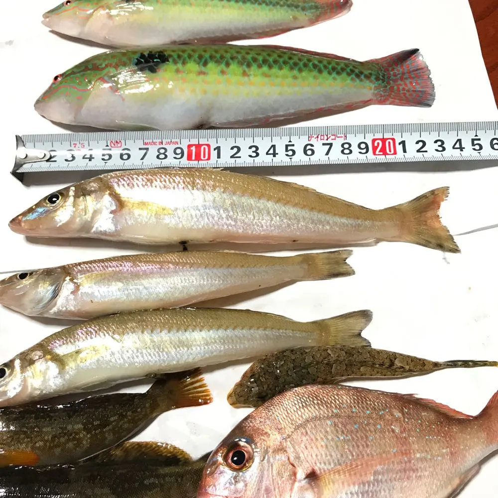 食べて美味しい