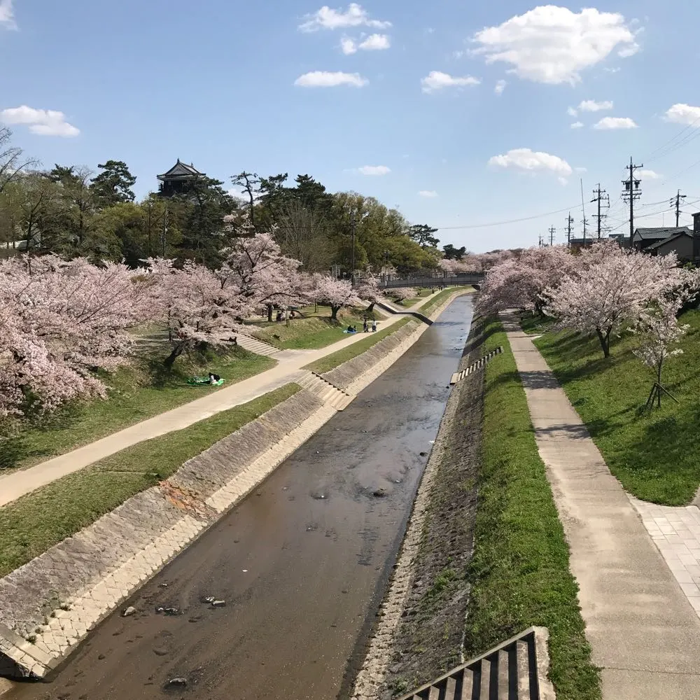 自然の中で癒される