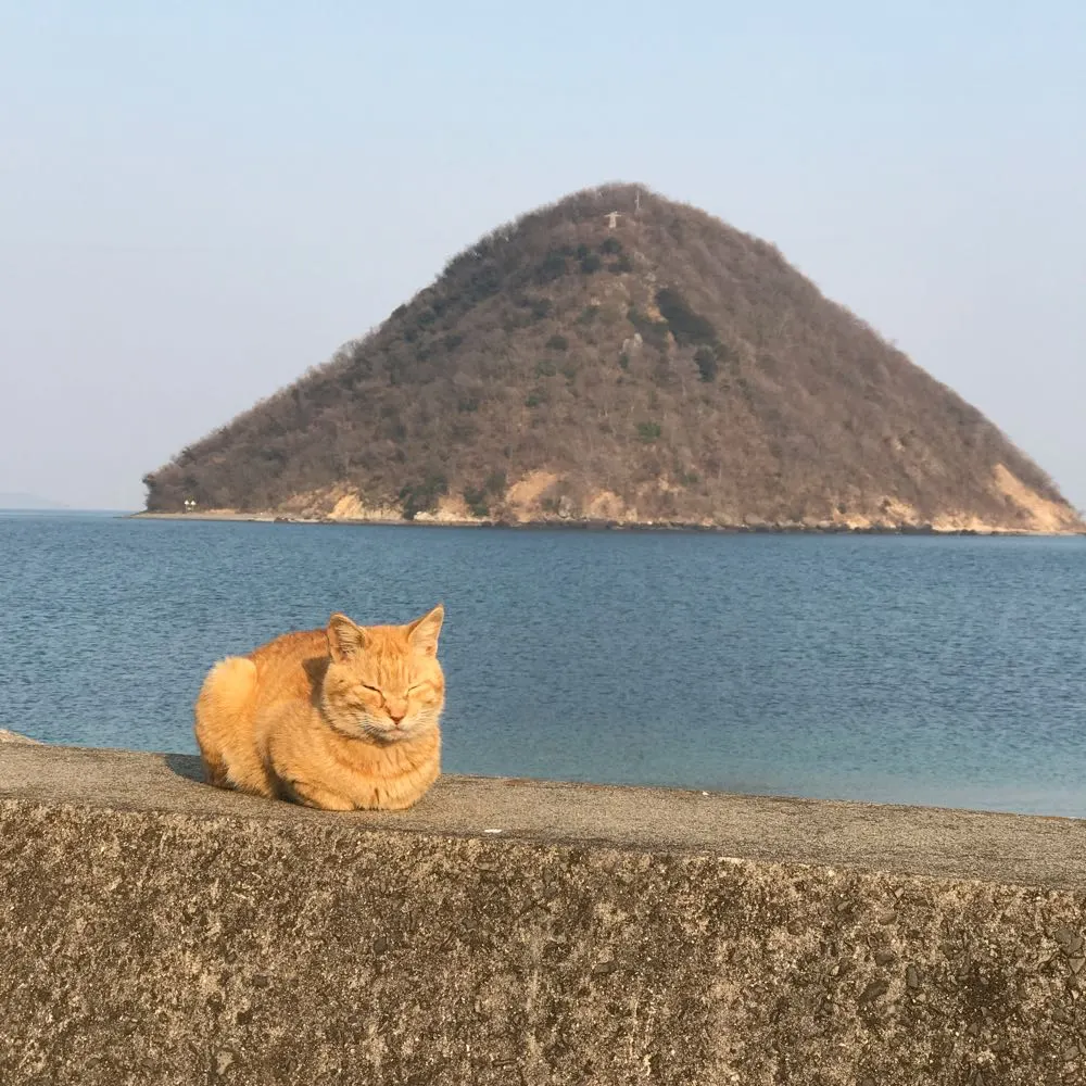 自然の中で癒される