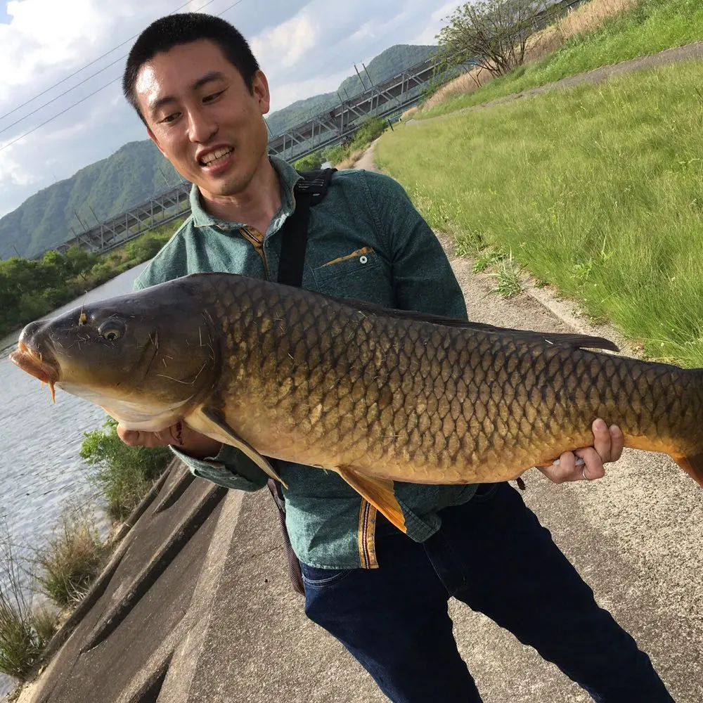 生き物に触れる