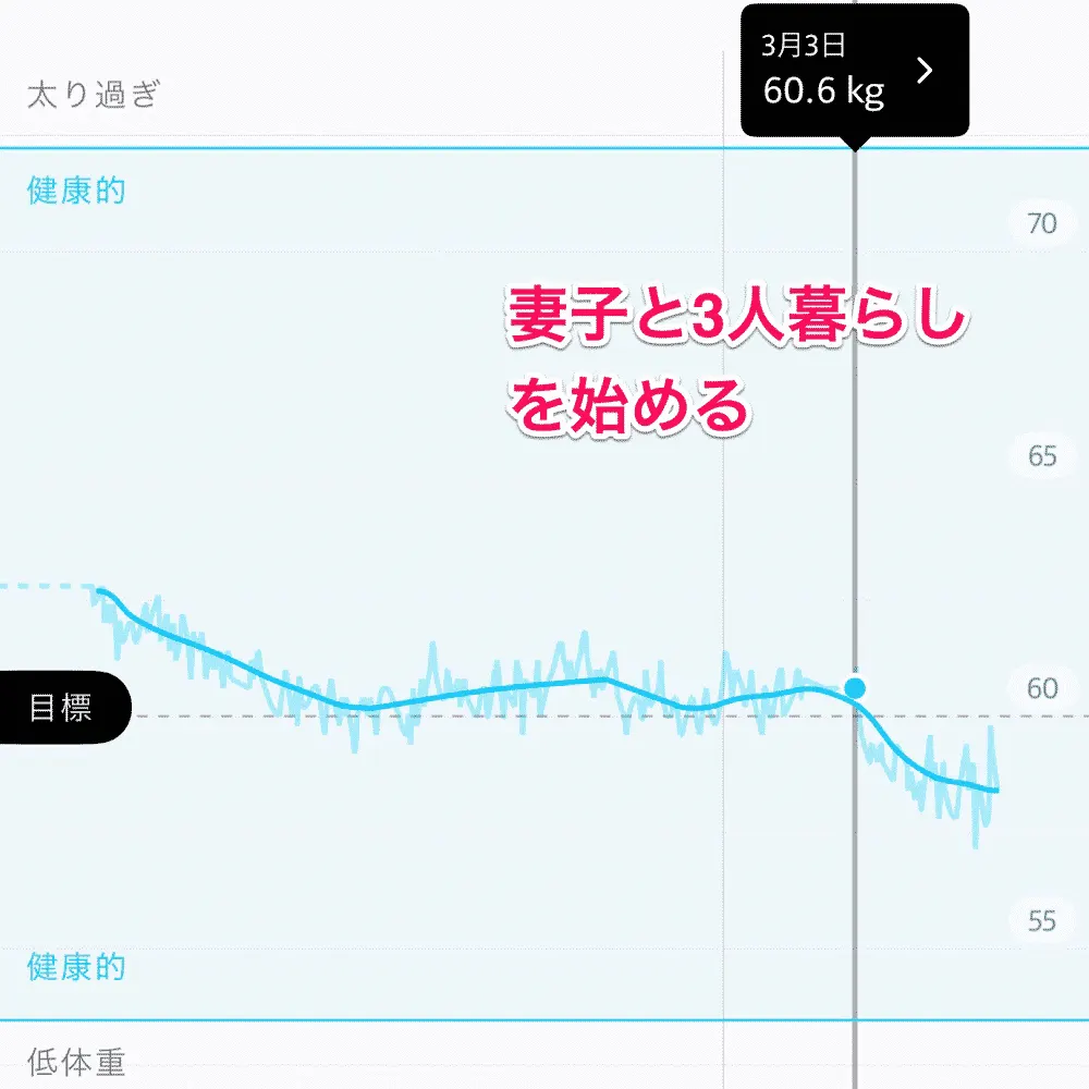 体重の変化に影響があったと思われる生活の変化点
