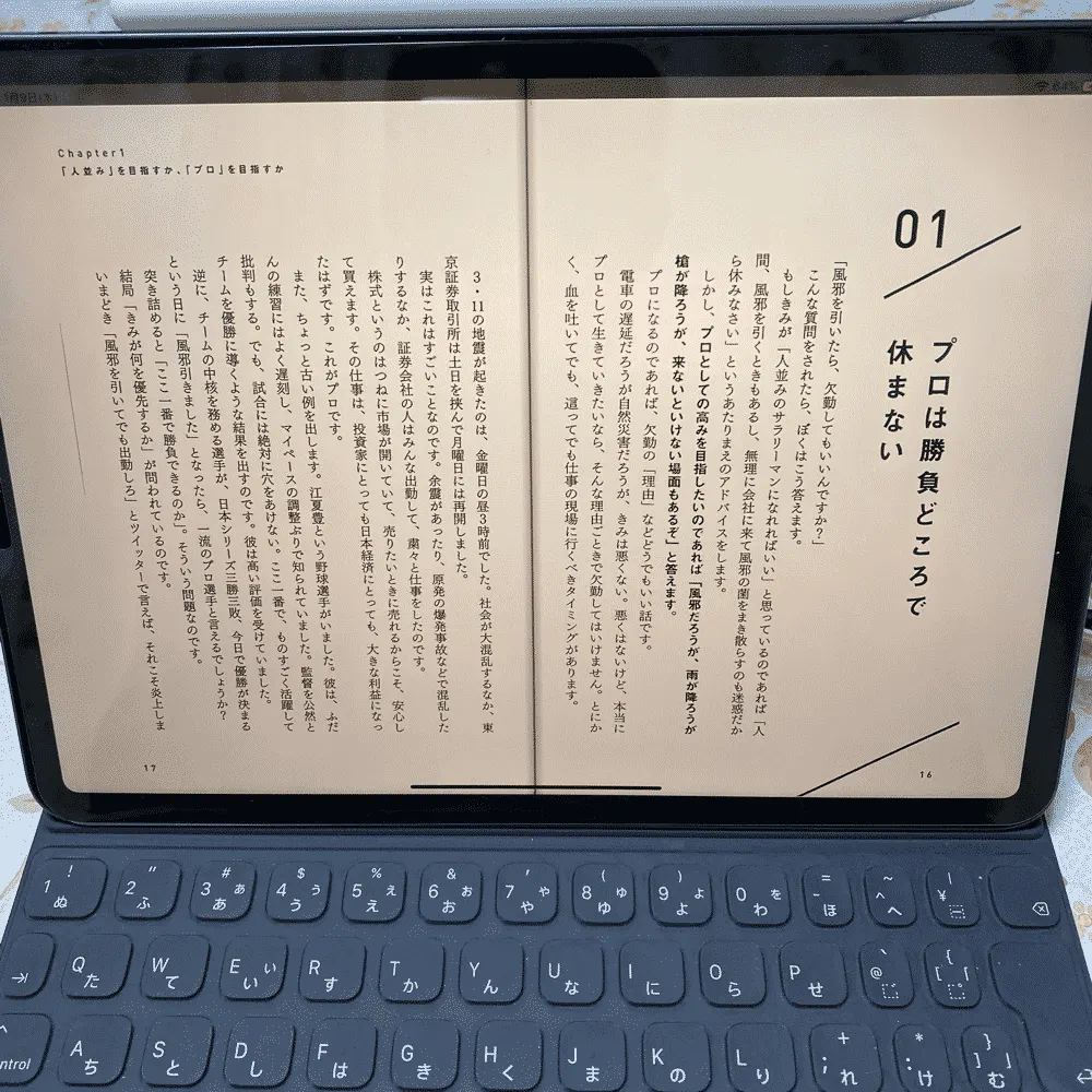 iPad Proで自炊PDFを読むとどうなるか。